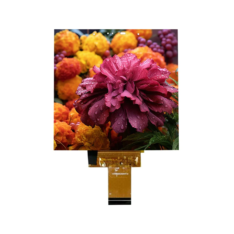 3.95 ইঞ্চি লো-পাওয়ার 500 Nit IPS পাতলা ইন-সেল টাচ স্ক্রীন মডিউল 3.95 ইঞ্চি লো-পাওয়ার 500 Nit IPS পাতলা ইন-সেল টাচ স্ক্রীন মডিউল